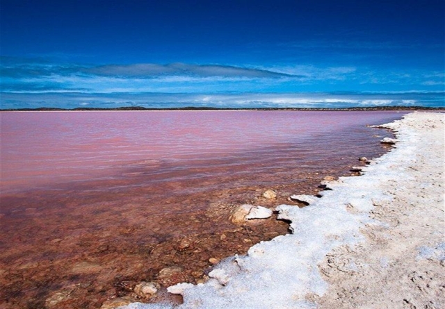 Lac Rose